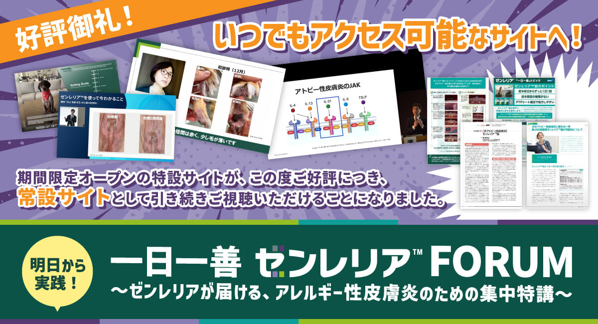 好評御礼！いつでもアクセス可能なサイトへ！