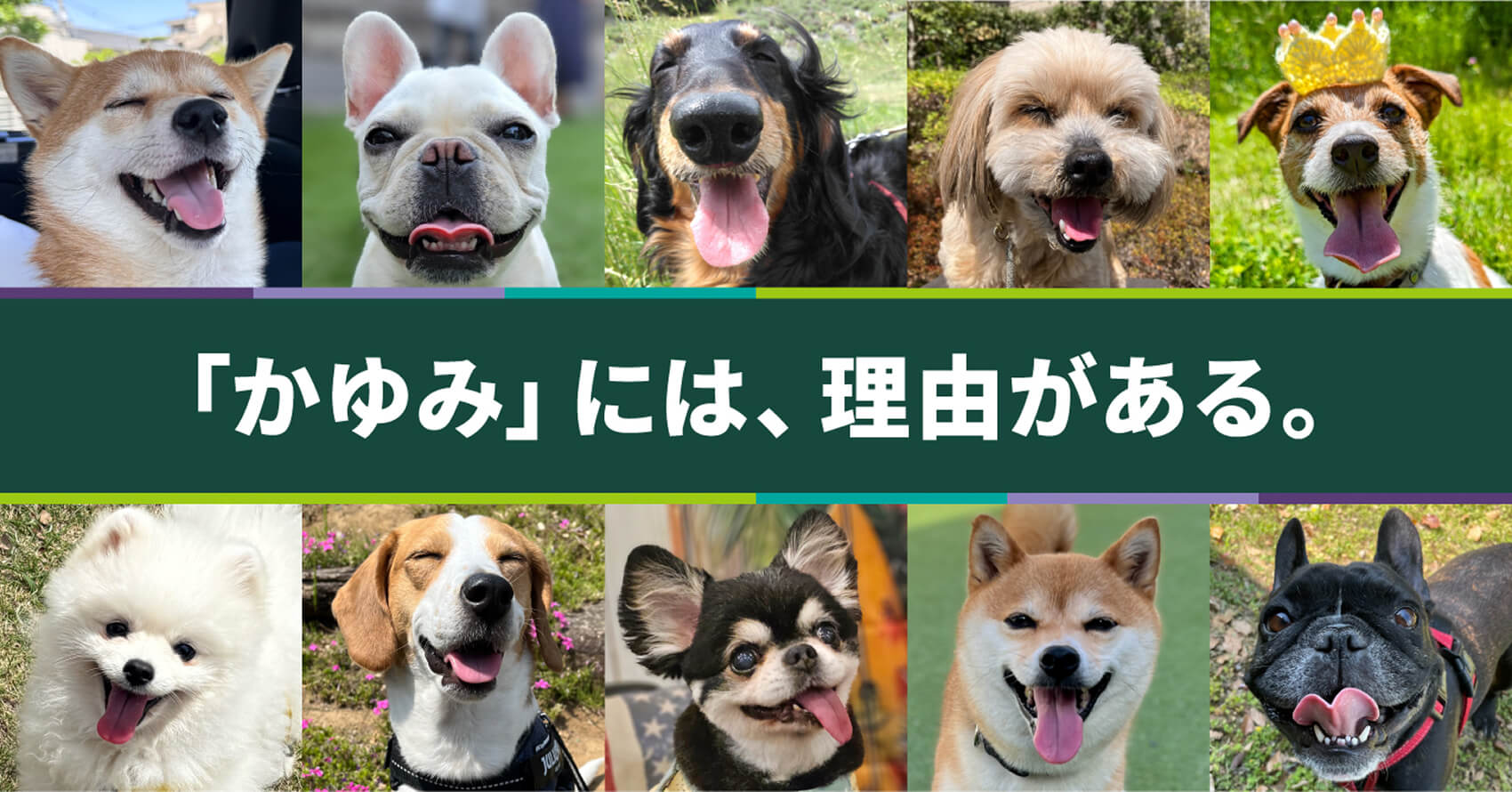 「かゆみ」には理由がある。