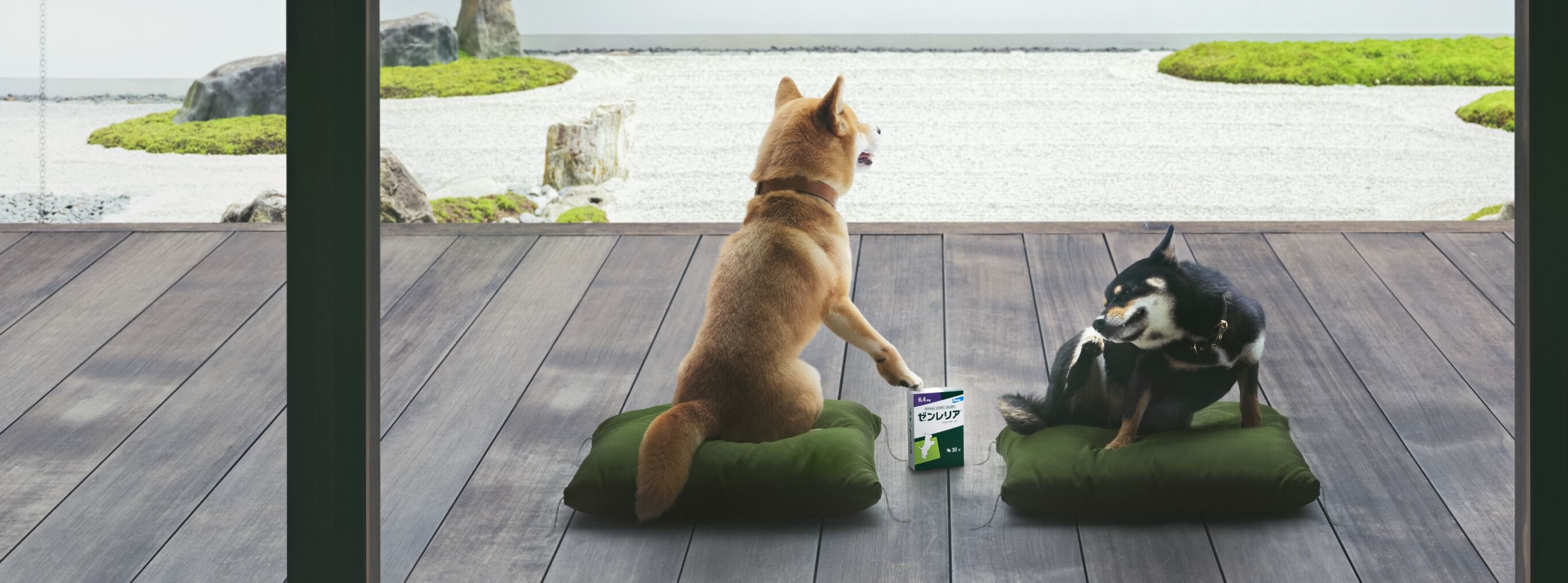 Thanksgiving Campaign!