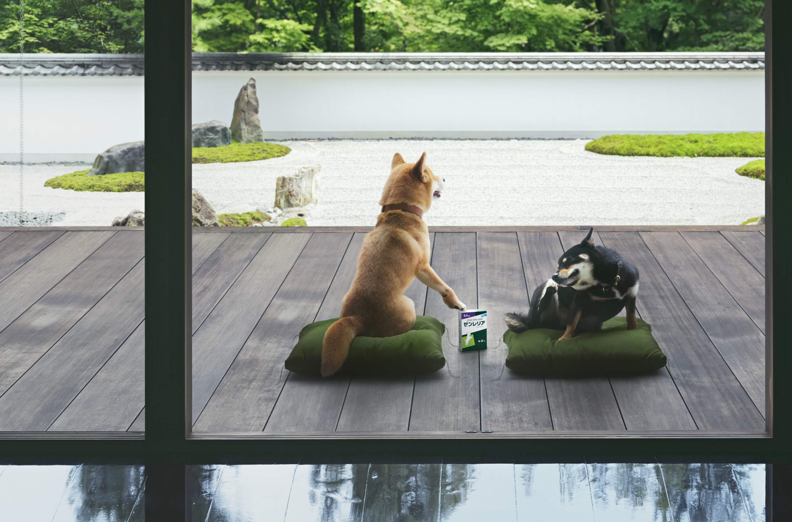 Thanksgiving Campaign!