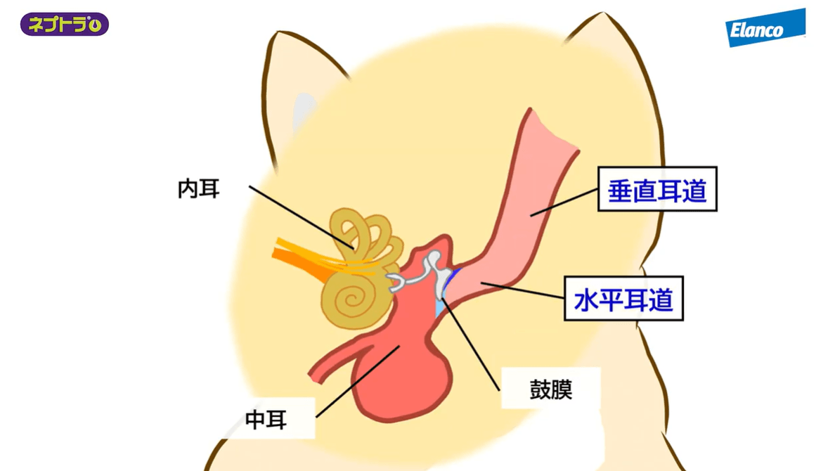 症例-3