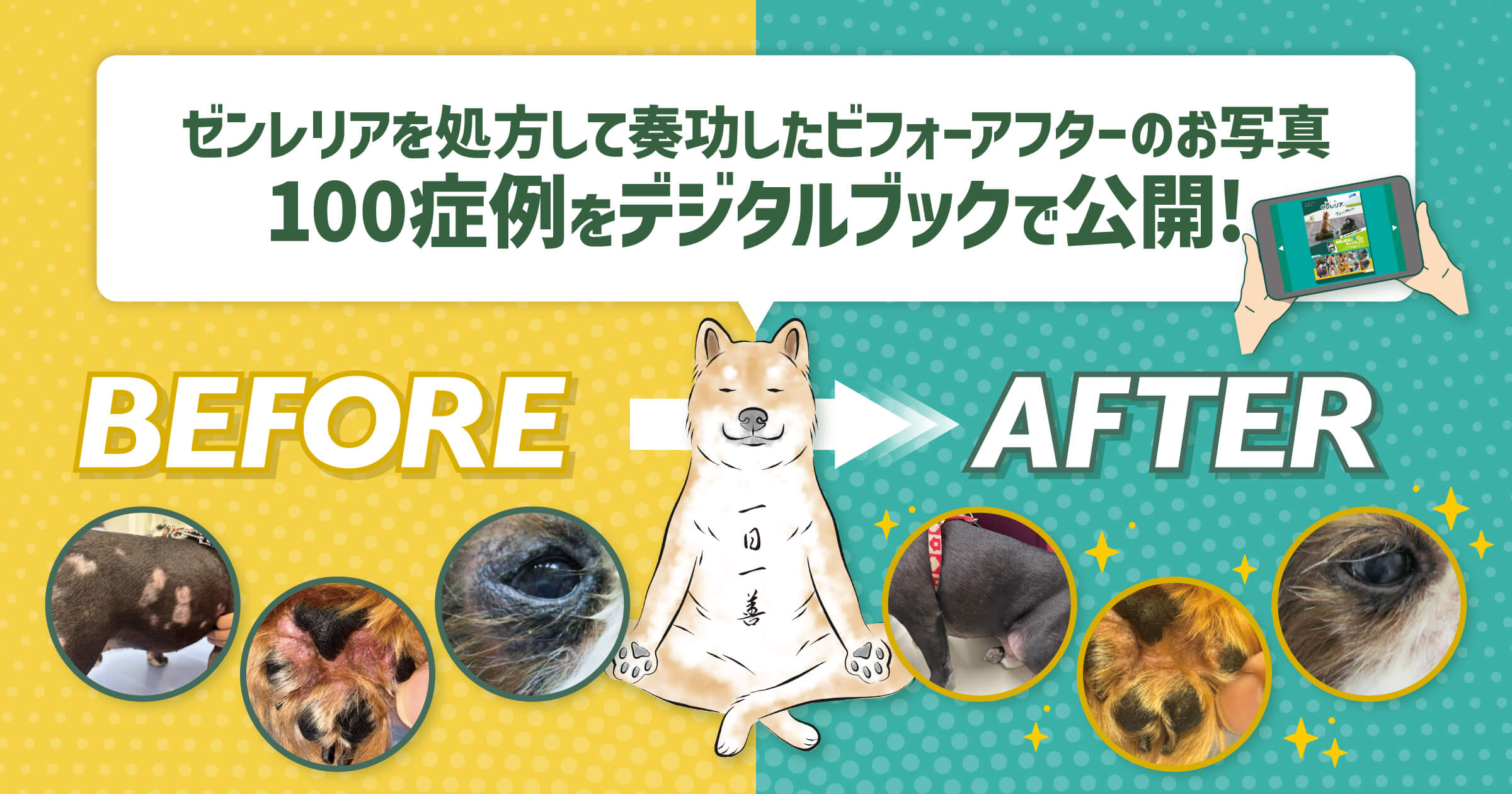 デジタルブック