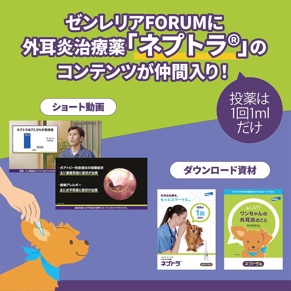 ネプトラ